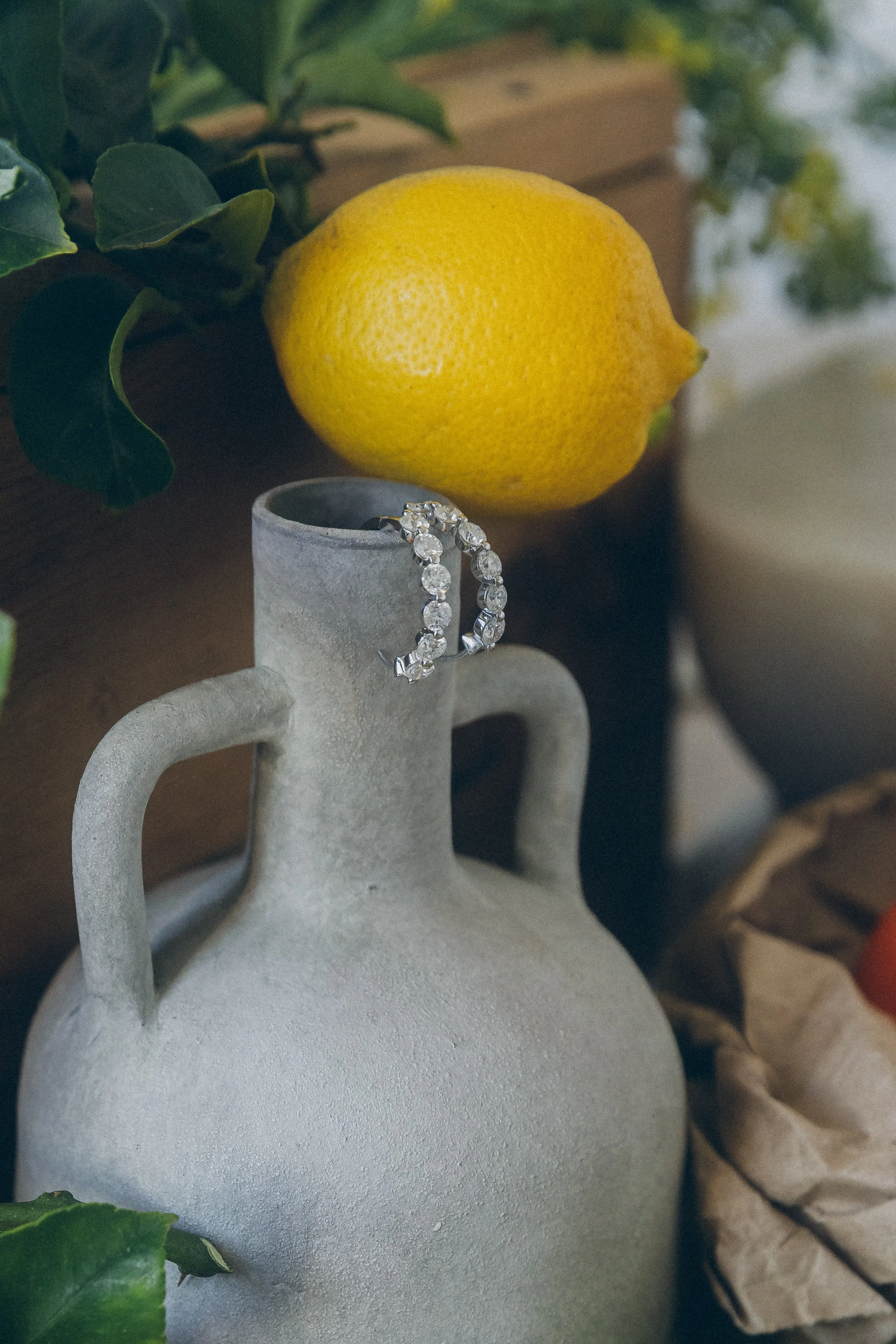 The Lab Grown Multiple Diamond Hoops with 4 Carats